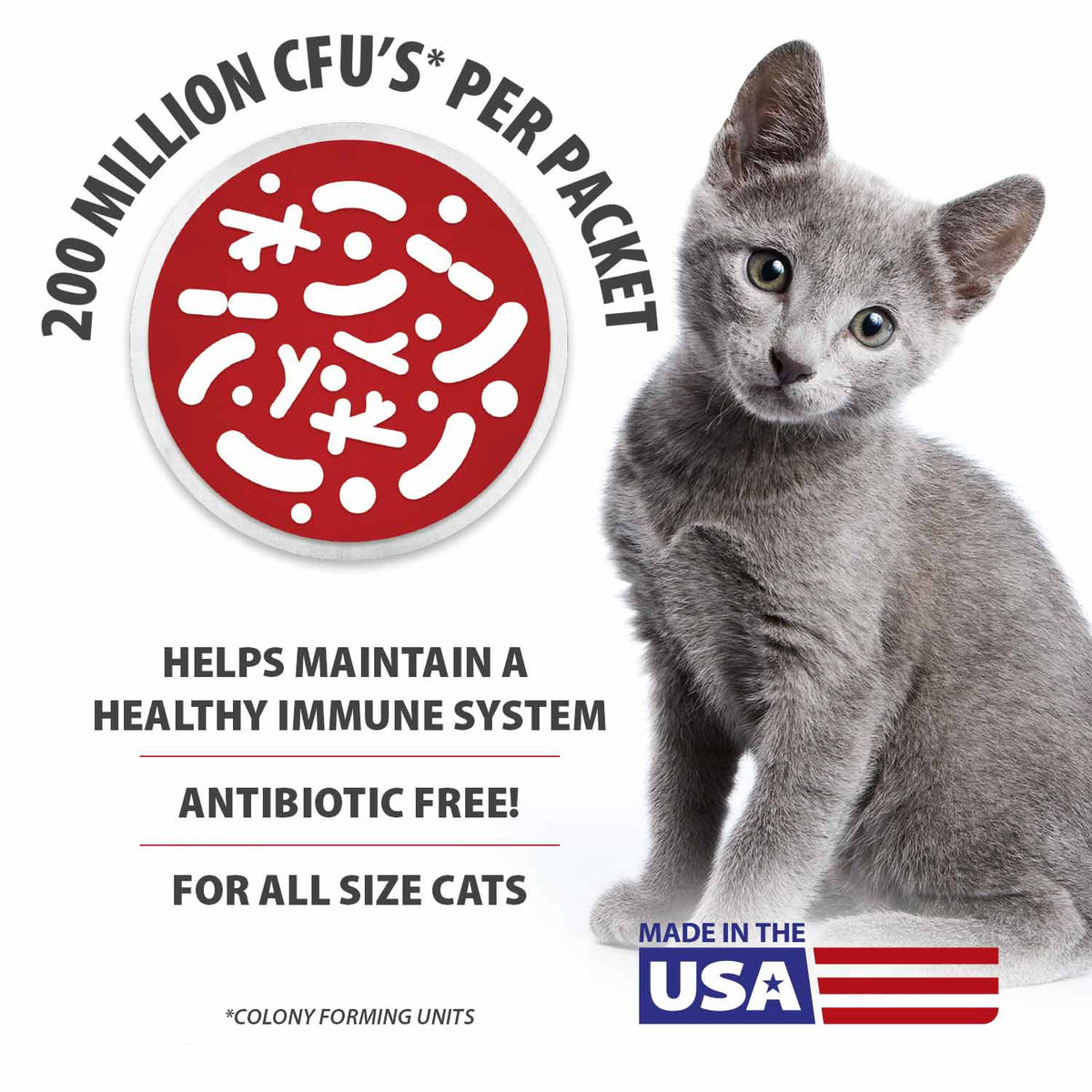 Jeffers Belly Buddy probiotic for cats to use during diet changes, boarding or travel