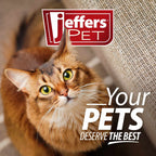 Jeffers Belly Buddy cat probiotic with Enterococcus faecium and three Lactobacillus strains