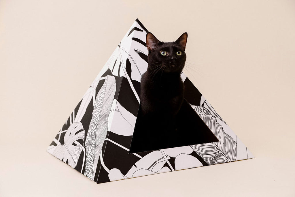 Kitty Kardboard Dark Paradise cardboard cat pyramid with a tropical leaf print, a modern hideaway made in the USA