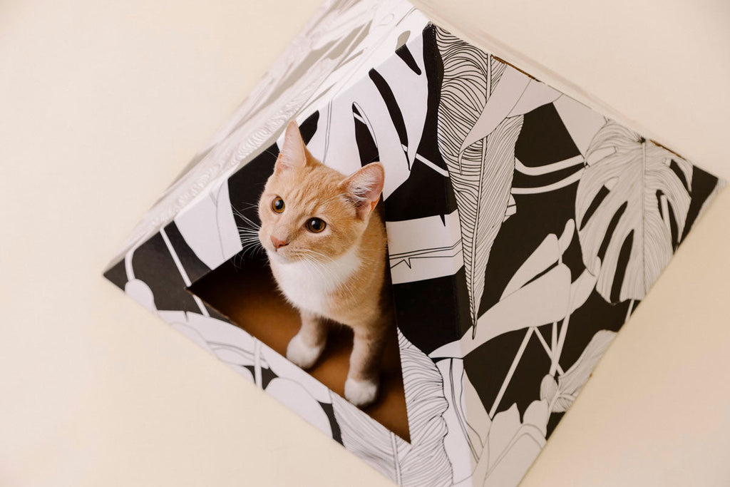 Dark Paradise Kitty Kardboard cat pyramid, a cozy cat hideaway that doubles as a decor piece for the room