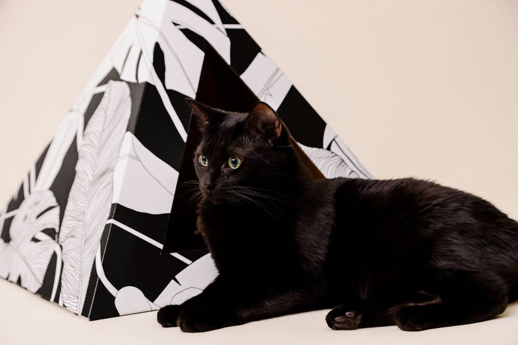 Dark Paradise cardboard cat pyramid from Kitty Kardboard, printed with water-based, biodegradable ink