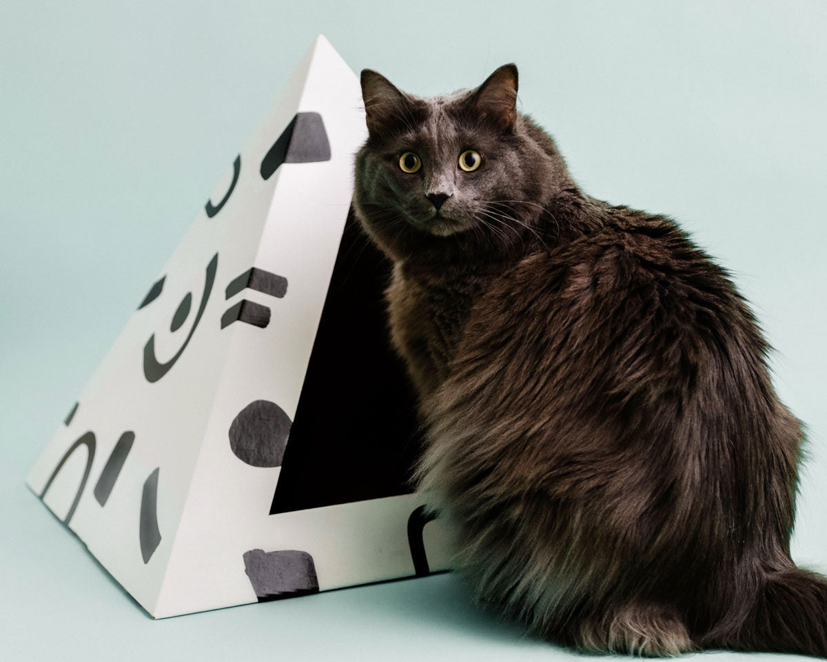 Kitty Kardboard Doodle cardboard cat pyramid with a black-and-white doodle print, a modern hideaway made in the USA