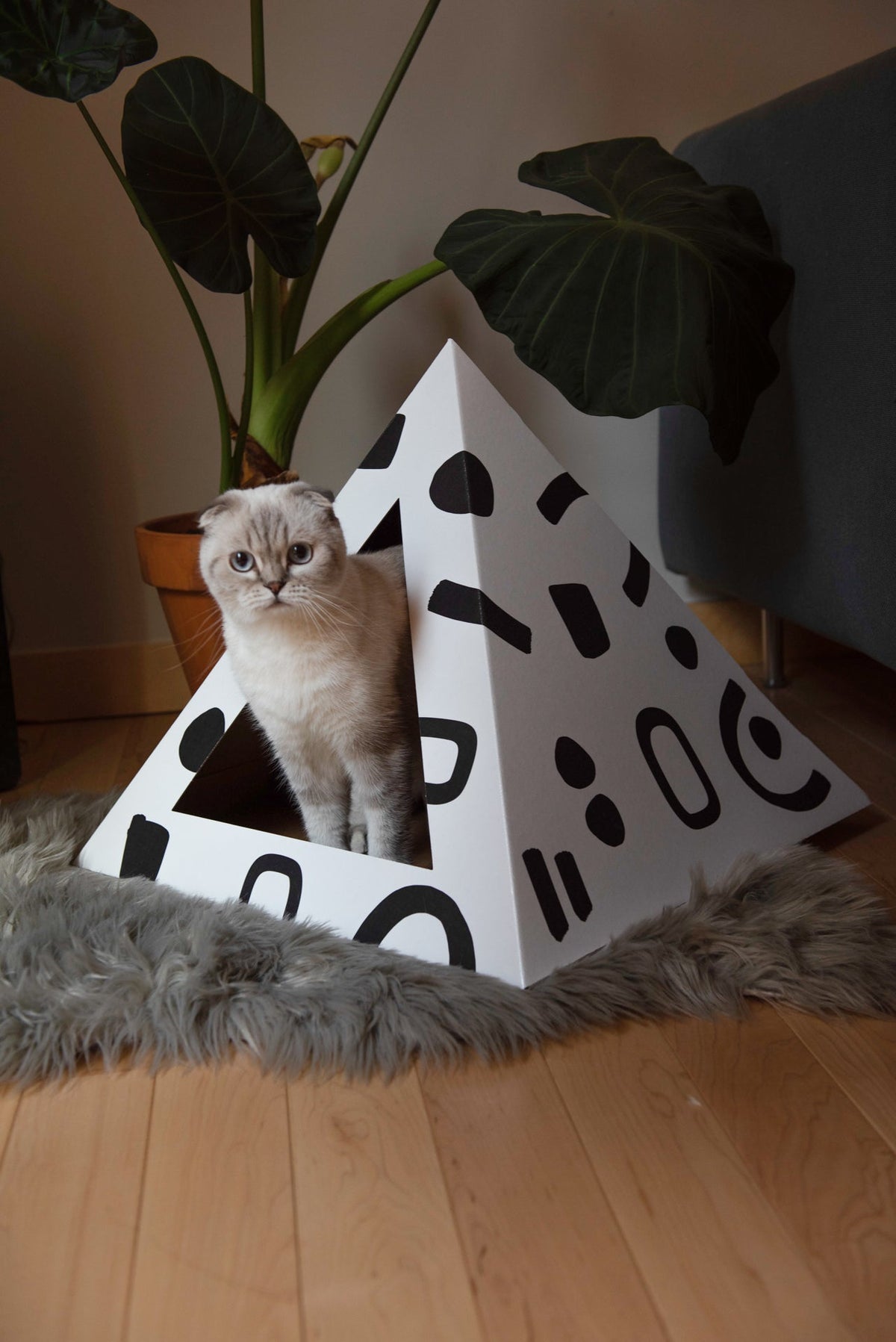 Doodle cat pyramid by Kitty Kardboard, a pyramid-shaped cardboard hideaway for indoor cats
