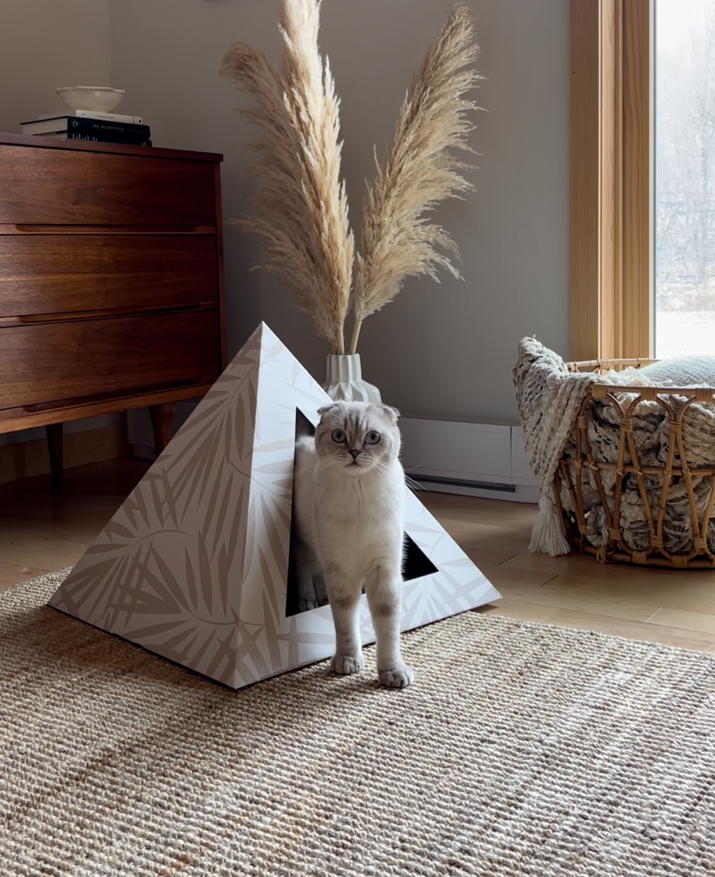 Kitty Kardboard Neutral Palm cardboard cat pyramid with a neutral palm print, a modern hideaway made in the USA