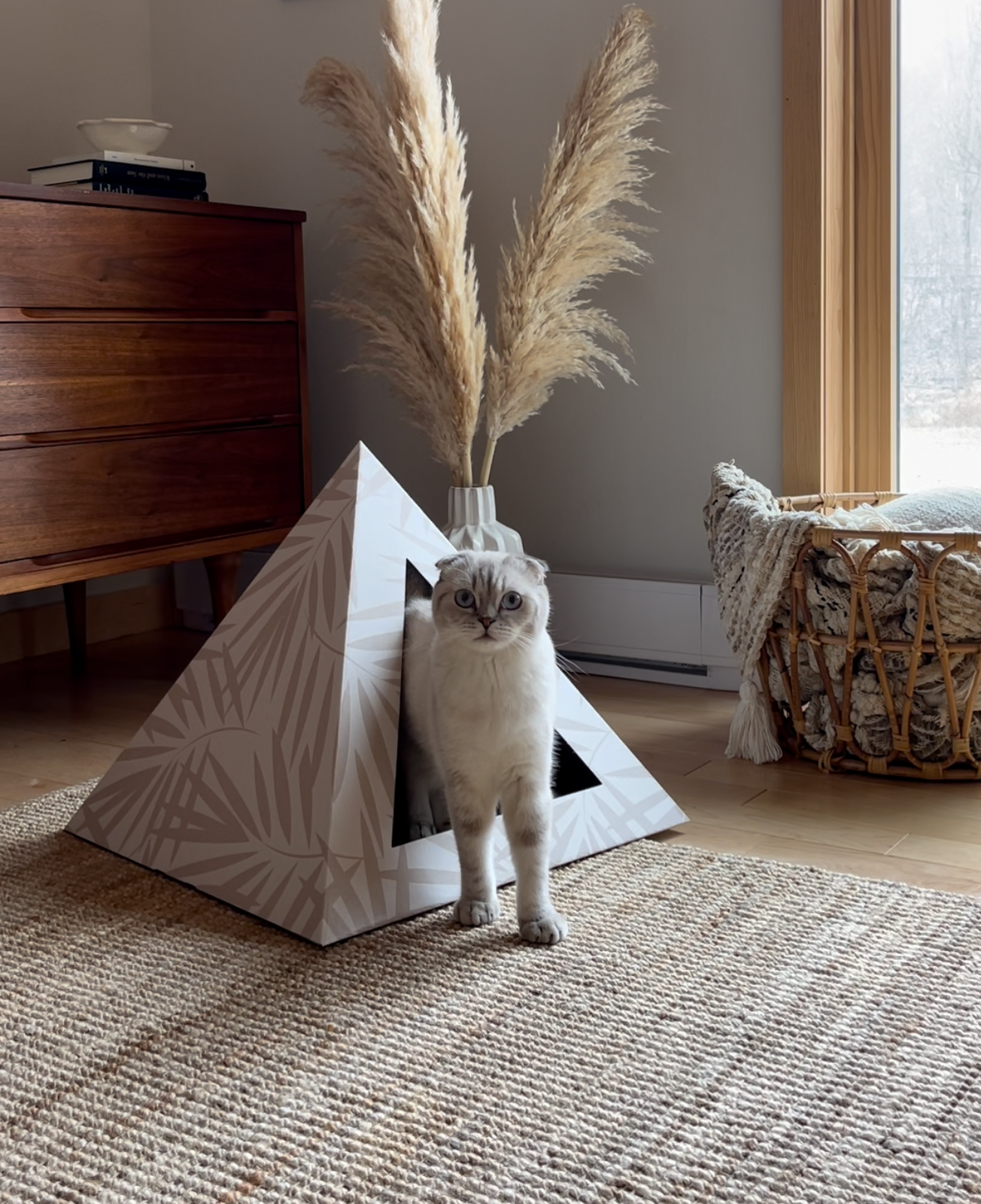 Kitty Kardboard Neutral Palm cardboard cat pyramid with a neutral palm print, a modern hideaway made in the USA