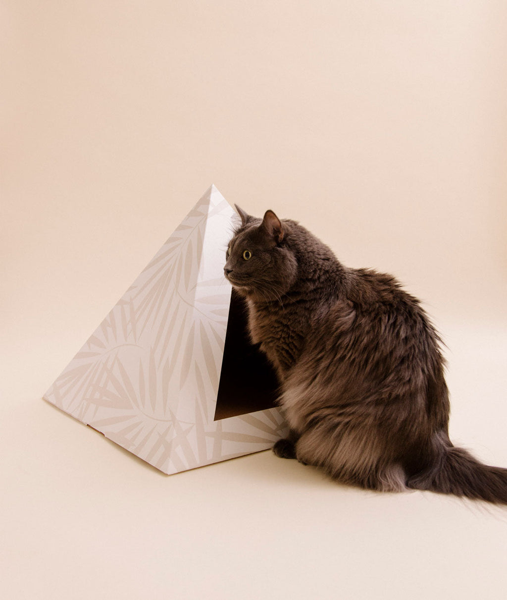 Stylish Neutral Palm cardboard cat pyramid by Kitty Kardboard, a made-in-USA upgrade from a shipping box