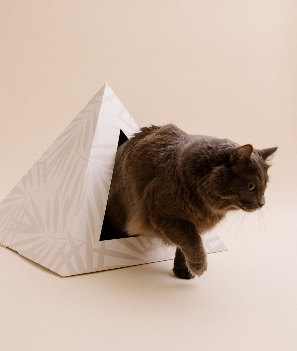 Neutral Palm cat pyramid by Kitty Kardboard, a pyramid-shaped cardboard hideaway for indoor cats
