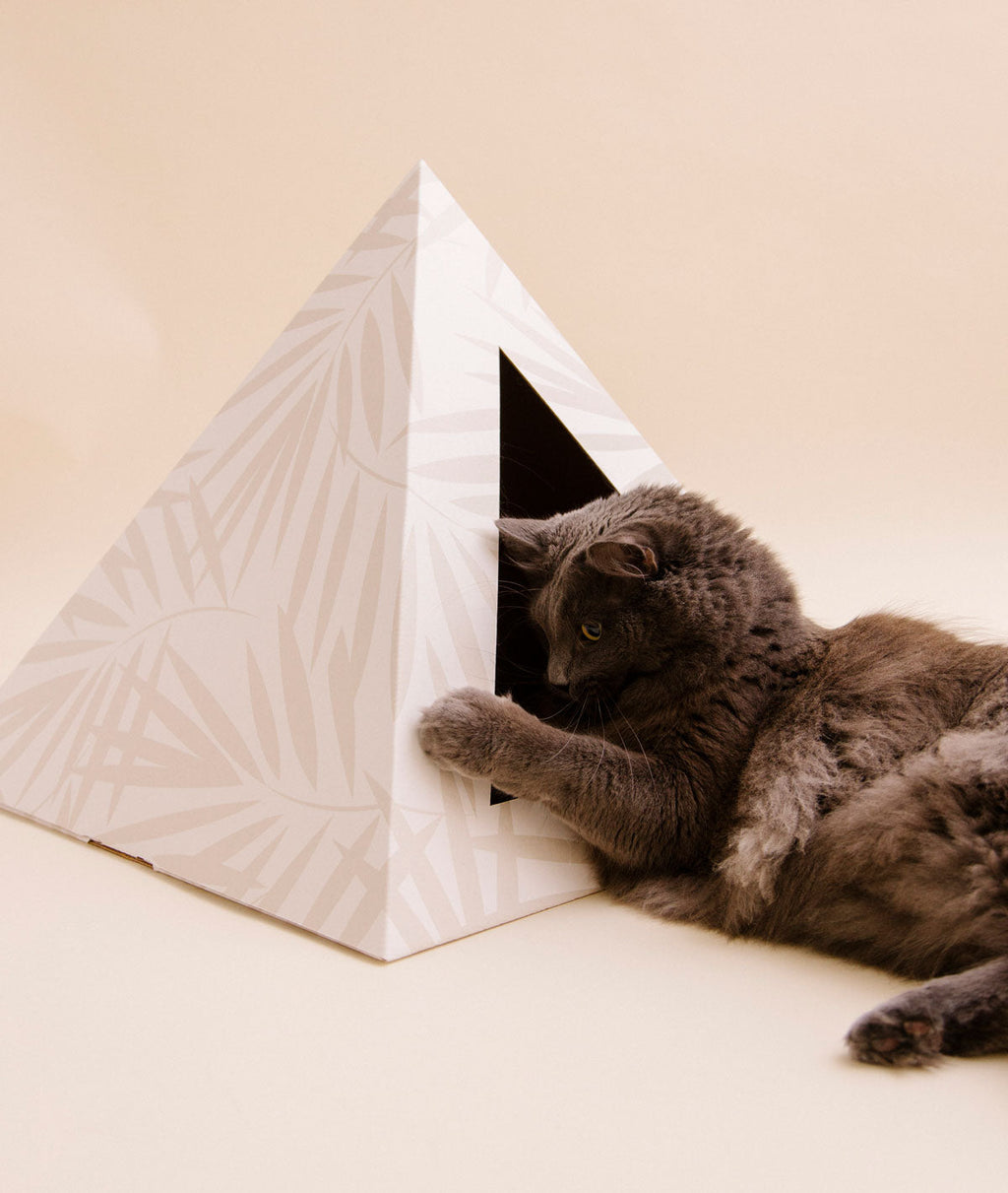 Neutral Palm cardboard cat pyramid from Kitty Kardboard, printed with water-based, biodegradable ink
