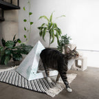 Oasis Kitty Kardboard cat pyramid, a cozy cat hideaway that doubles as a decor piece for the room