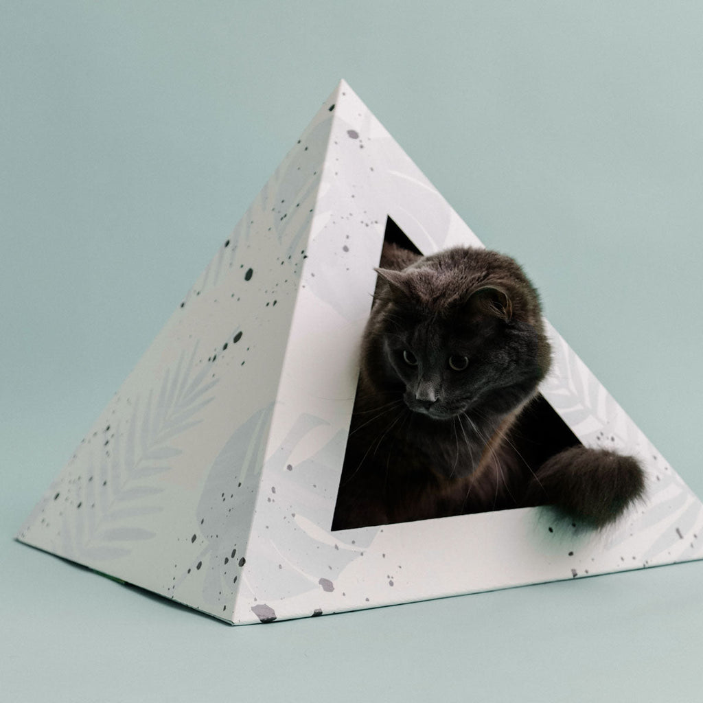 Kitty Kardboard Oasis cat house with a tropical print, made from recycled cardboard