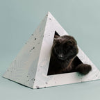 Kitty Kardboard Oasis cat house with a tropical print, made from recycled cardboard