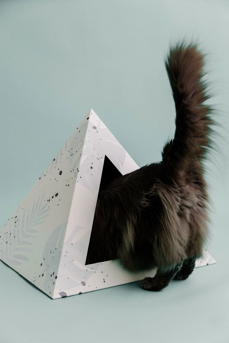 Oasis cardboard cat pyramid from Kitty Kardboard, printed with water-based, biodegradable ink