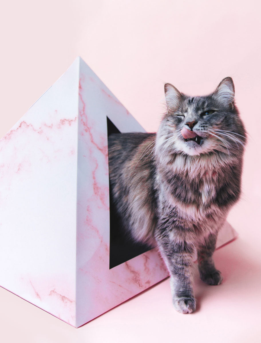Kitty Kardboard Rose Quartz cardboard cat pyramid with a pink rose quartz marble print, a modern hideaway made in the USA