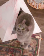 Kitty Kardboard Rose Quartz pyramid that ships flat and goes together in seconds by folding and tucking
