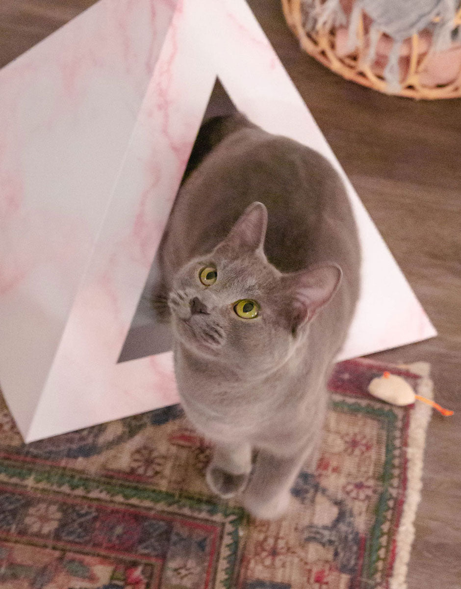 Kitty Kardboard Rose Quartz pyramid that ships flat and goes together in seconds by folding and tucking