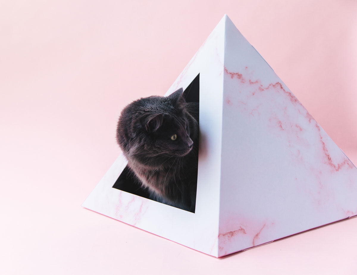 Rose Quartz cardboard cat pyramid from Kitty Kardboard, printed with water-based, biodegradable ink
