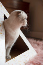 Terrazzo cat pyramid by Kitty Kardboard, a pyramid-shaped cardboard hideaway for indoor cats