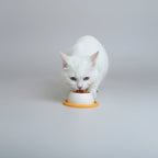 Food-safe lick slow feeder for pets, for indoor or outdoor feeding and play