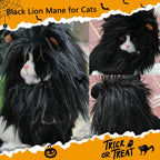 Lion mane pet costume with hook-and-loop strap