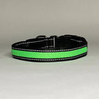 Lucky Dog LED dog collar with 3M reflective high-visibility stitching