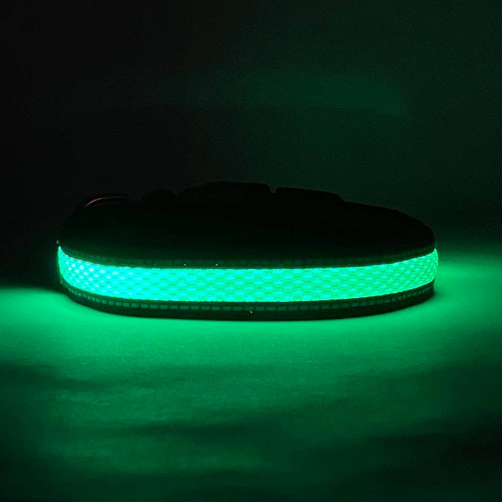 Lucky Dog LED dog collar with an adjuster to tighten or loosen the fit