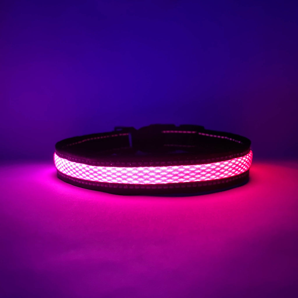 IPX7 waterproof Lucky Dog LED dog collar, rated for 3 feet of water for 30 minutes