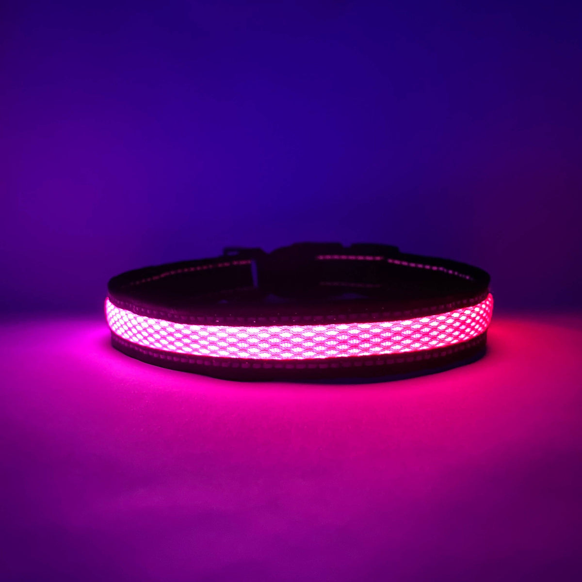 IPX7 waterproof Lucky Dog LED dog collar, rated for 3 feet of water for 30 minutes