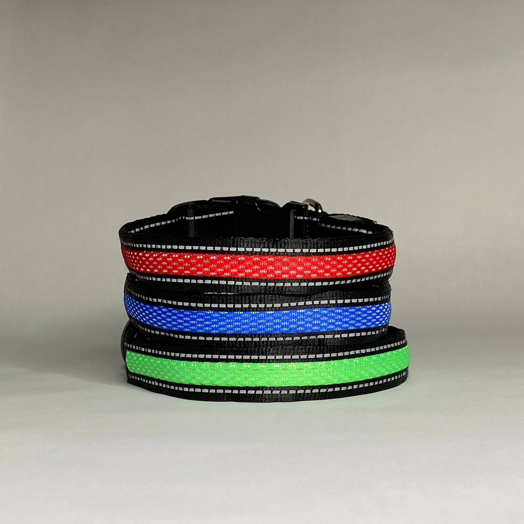 Pull-tested Lucky Dog LED dog collar built for everyday walks