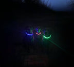 Lucky Dog LED dog collar that recharges by USB between walks