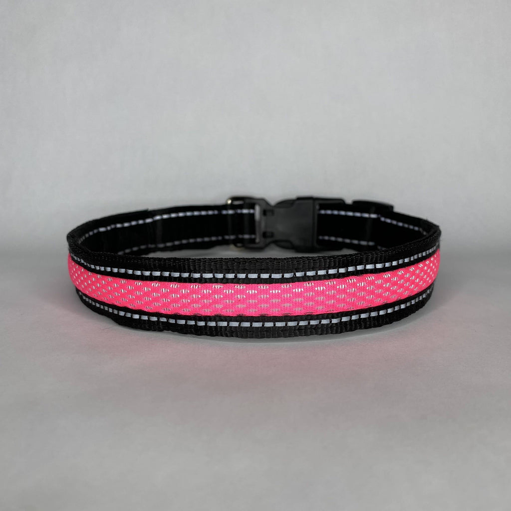 Lucky Dog LED collar with a 10-hour charge life from a single USB charge