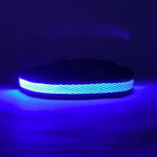 Lucky Dog Pet Company LED collar, sold in blue, green and red as separate listings