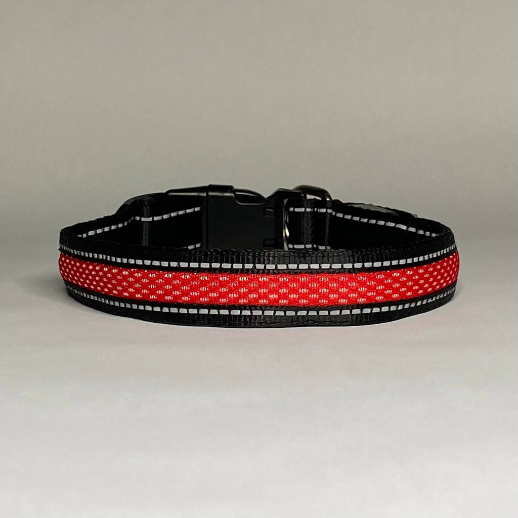 Ultra-bright Lucky Dog LED collar that the brand says is visible up to 200 yards away