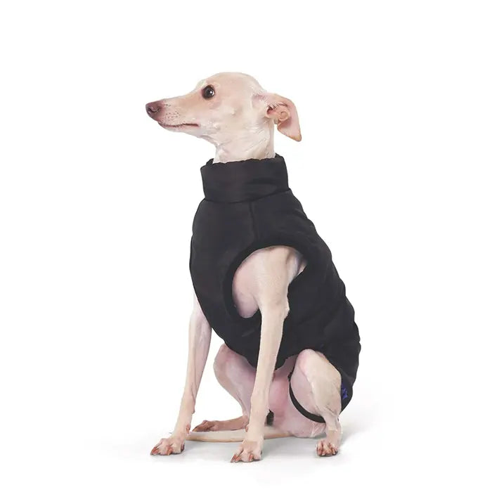 Black and blue M-Pets Gentle dog jacket with adjustable straps at the neck and chest