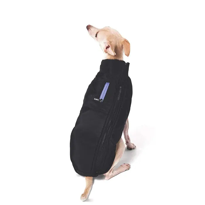 M-Pets Gentle winter jacket for dogs in black and blue with a soft inner lining for warmth
