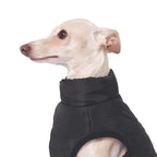 Wind-resistant black and blue M-Pets dog jacket in size Large for cold winter walks