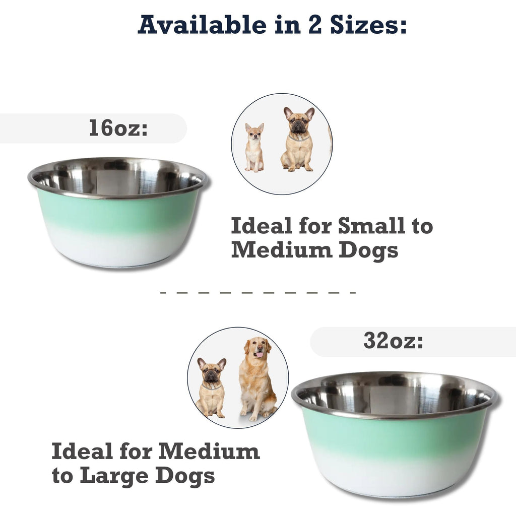 Mint Green stainless steel deep dog bowl sized for small to large dogs, by capacity