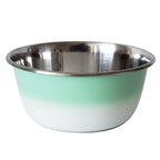 Mint Green deep stainless steel dog bowl with a rubberized base and a handling lip