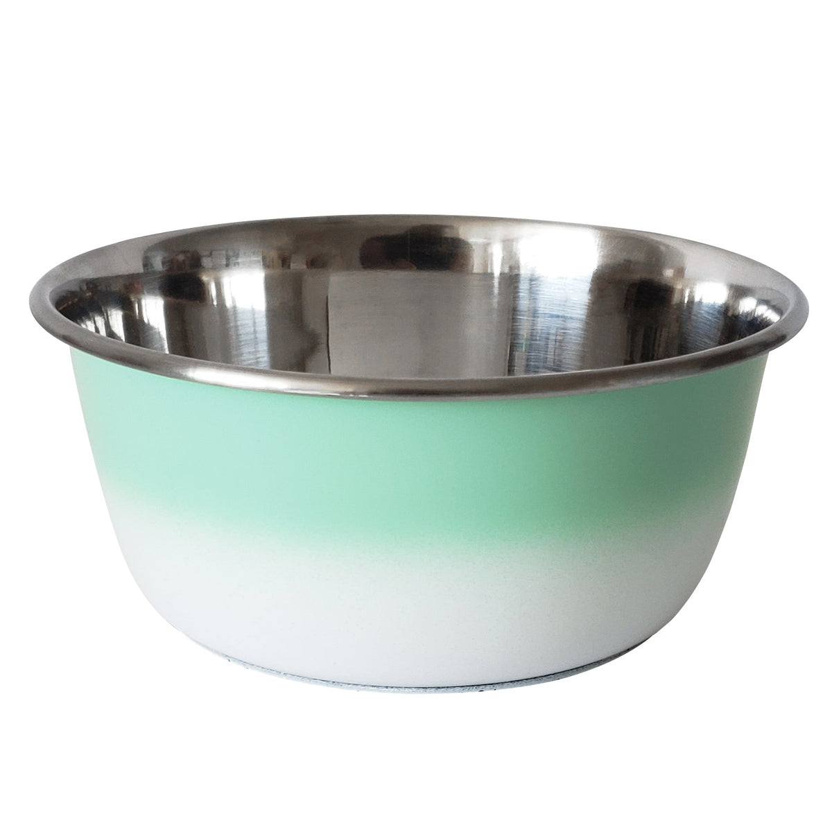 Mint Green deep stainless steel dog bowl with a rubberized base and a handling lip