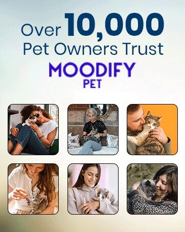 Brand trust graphic for MoodifyPet, maker of the hanging cat litter box odor neutralizer