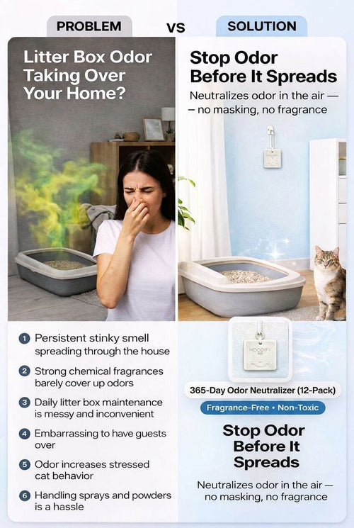 Problem and solution graphic for the MoodifyPet 12-pack cat litter box odor neutralizer