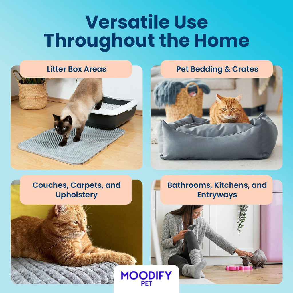 Ways to use MoodifyPet litter box odor neutralizers, each covering one box for up to 30 days