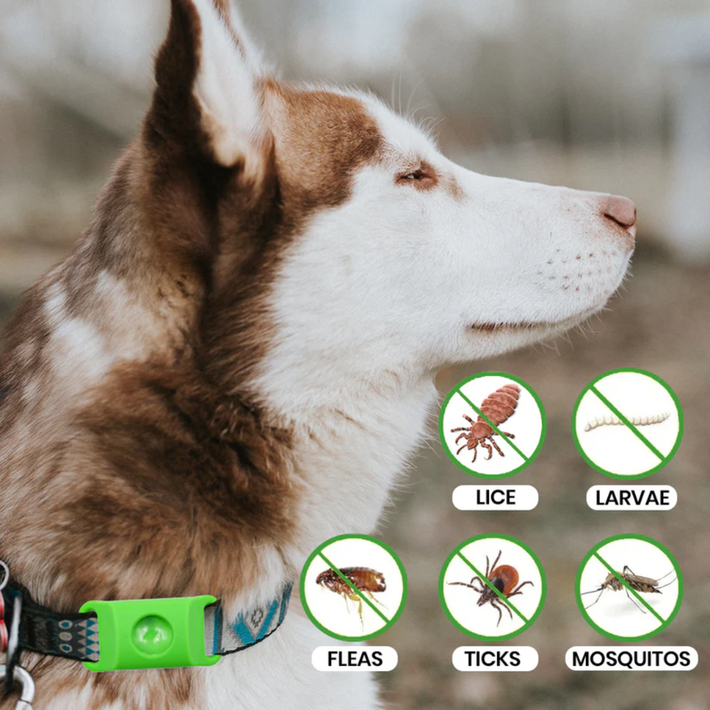 Flea and tick collar pendant, available in several colors