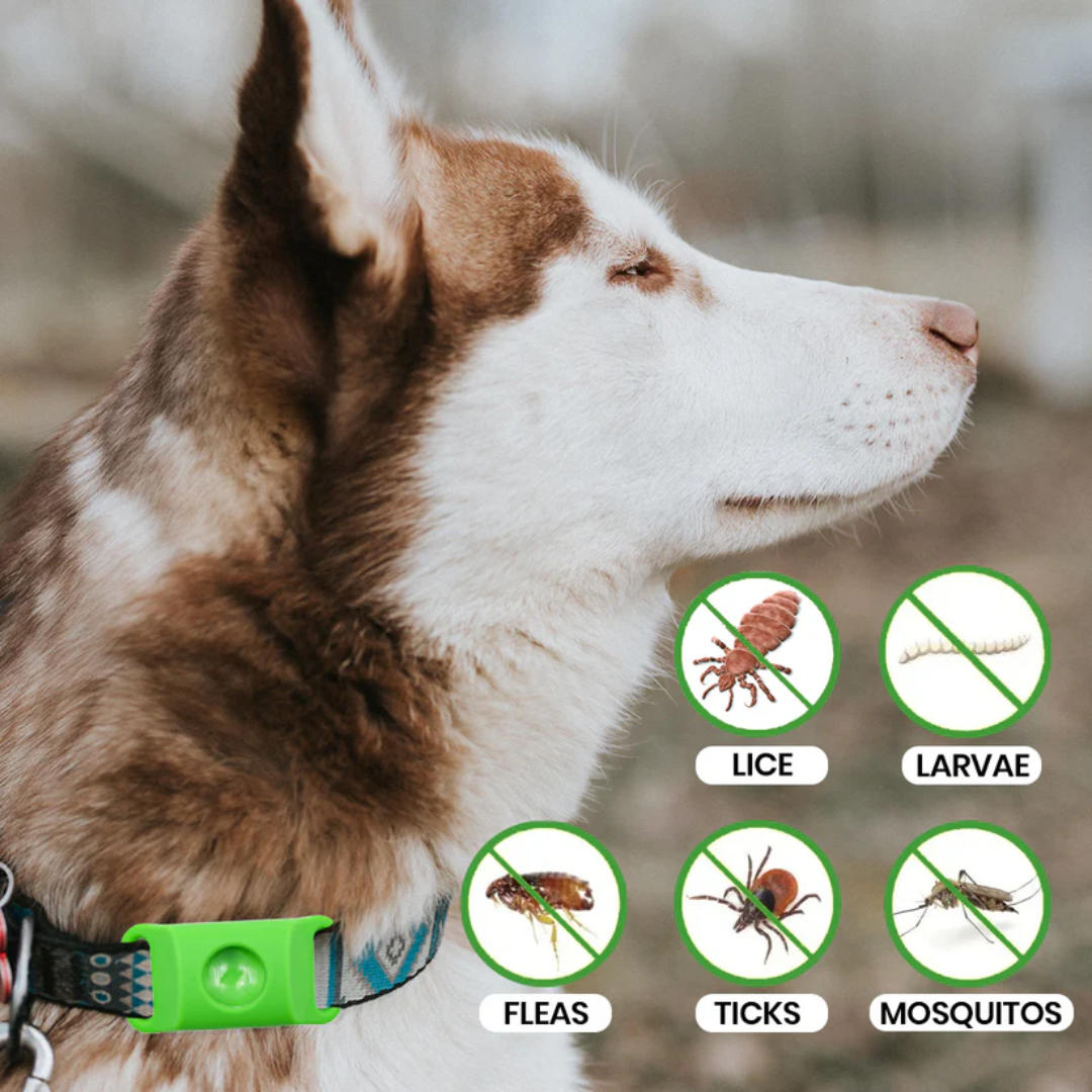 Flea and tick collar pendant, available in several colors