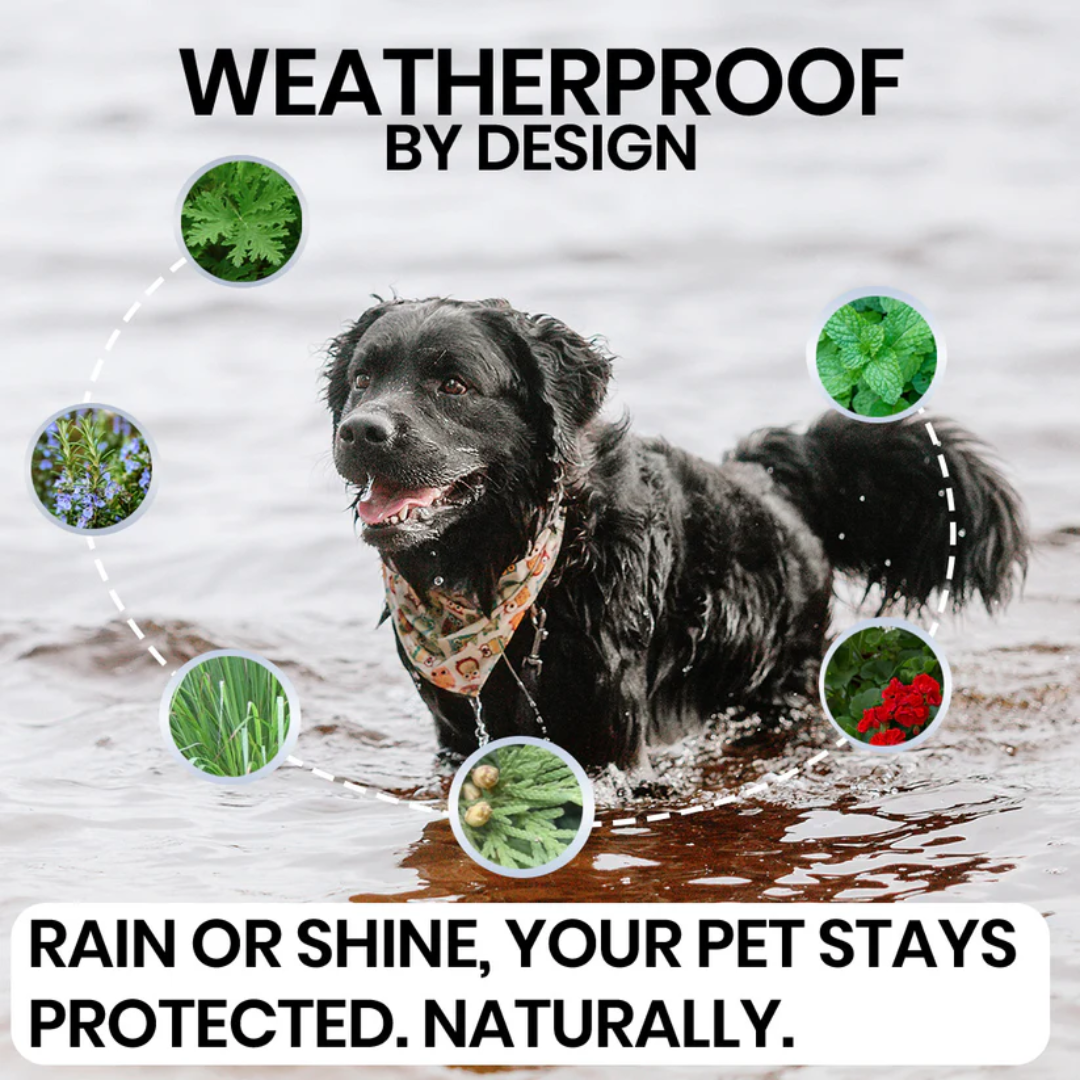 Natural flea and tick defense pendant for pets