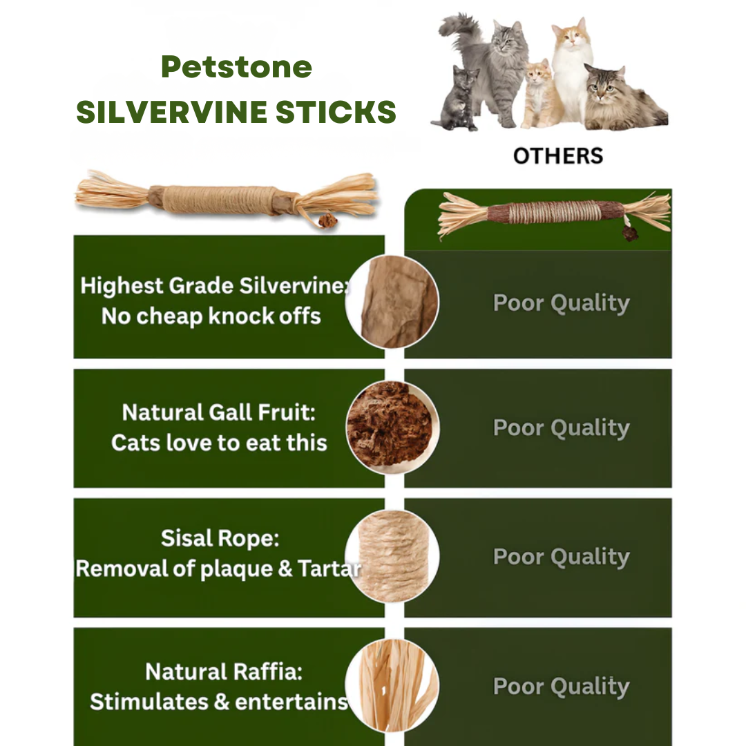 Japanese matatabi chew sticks that cats love