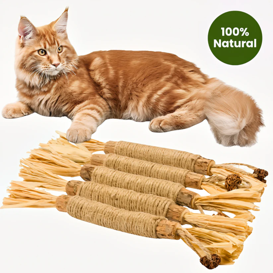 Natural Japanese silver vine cat chew sticks
