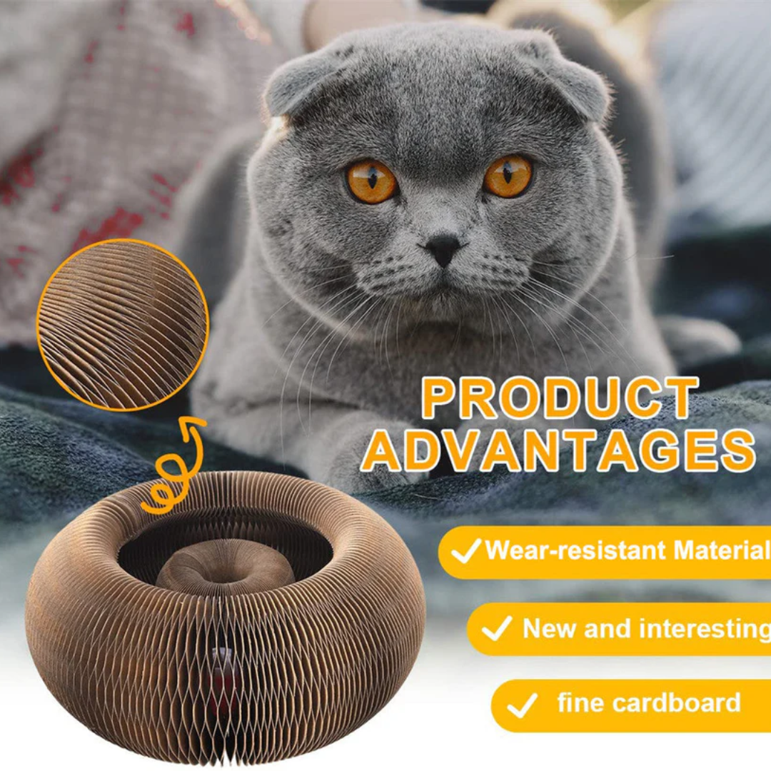Pawsome Spinner cat ball-track toy and scratcher, offered as a 1 pack or a 2 pack