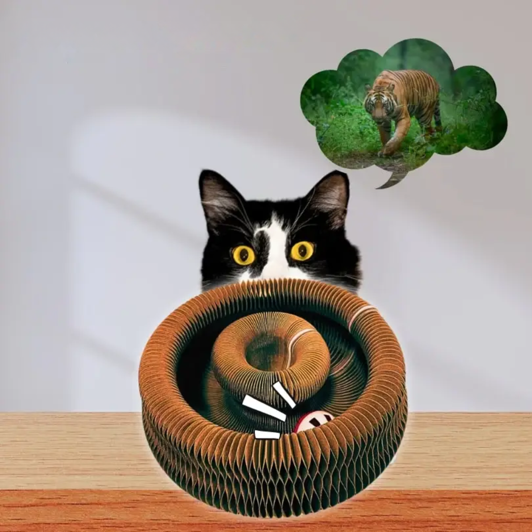 Pawsome Spinner cat toy that folds compactly for storage or for taking along on trips