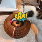 Pawsome Spinner cardboard ball-track toy for indoor cats that love to chase and scratch