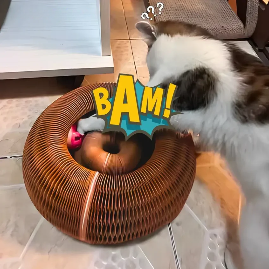 Pawsome Spinner cardboard ball-track toy for indoor cats that love to chase and scratch